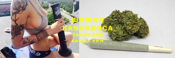 твердый Дмитриев
