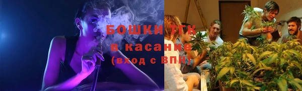 твердый Дмитриев