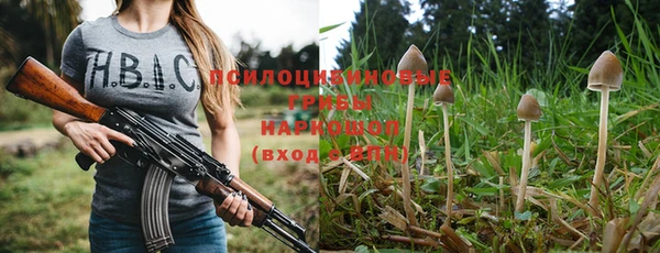 скорость Гусь-Хрустальный