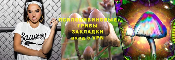 ECSTASY Дмитров